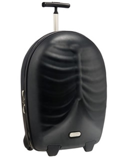Acquire | Samsonite Black Label Alexander Mcqueen Hero Upright
