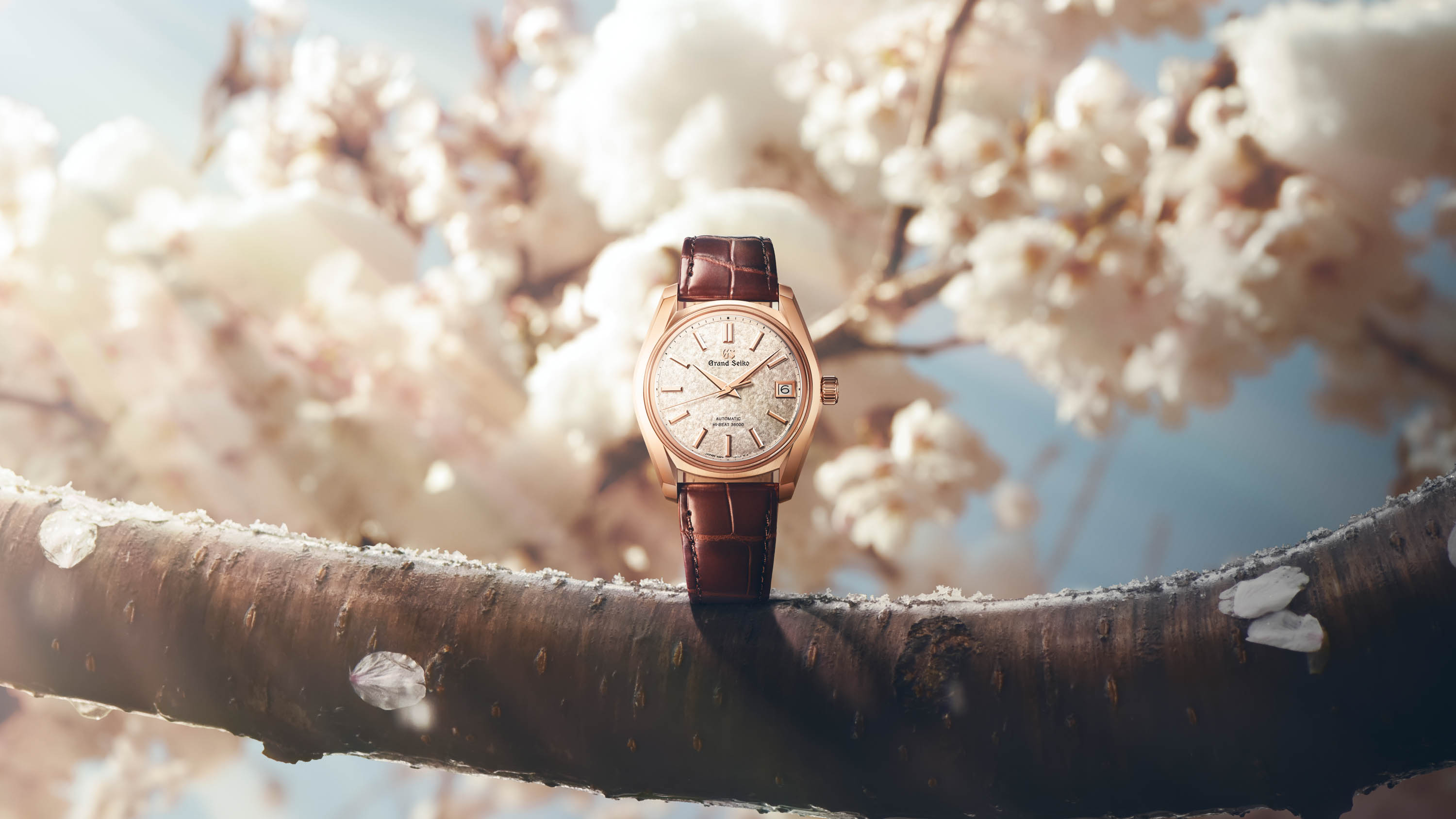 Acquire | Grand Seiko gets ready for cherry blossom season with
